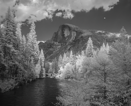 Ansel's Birthday Special Offer Prints