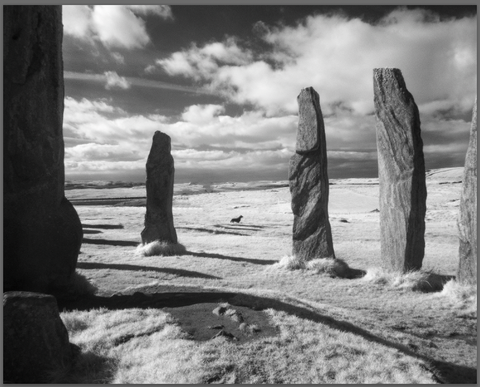 STANDING STONES AND DACHSHUND, CALLANISH, ISLE OF LEWIS, SCOTLAND