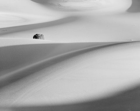 BUSH AND DUNE, DEATH VALLEY
