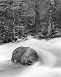 ROCK AND FOREST, MERCED RIVER, YOSEMITE