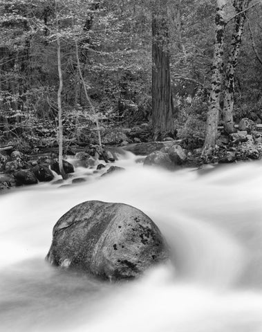 ROCK AND FOREST, MERCED RIVER, YOSEMITE